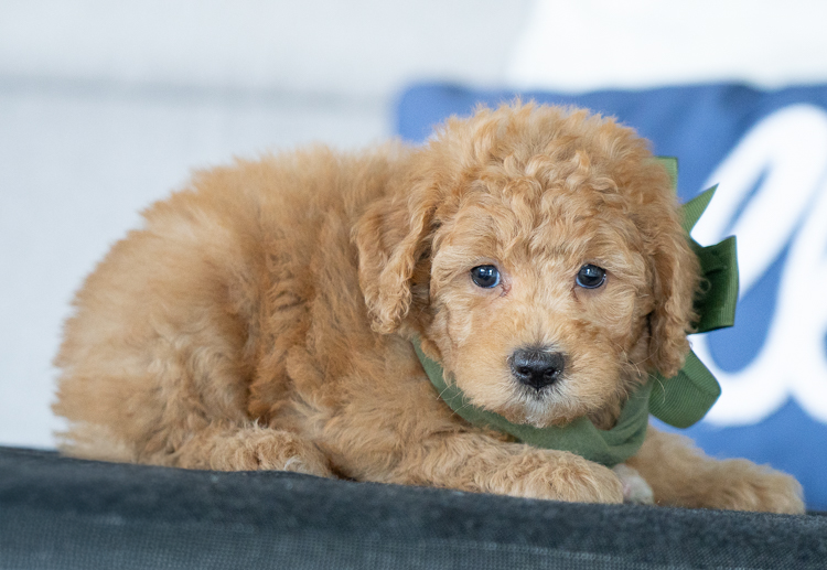 Wendy - 7 Weeks 