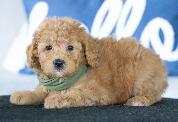 Wendy - 7 Weeks 