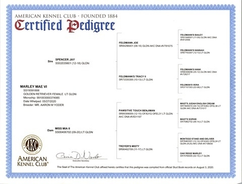 Marley Mae Certified Pedigree -1