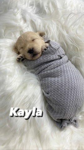 Kayla - Day 16