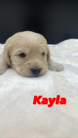 Kayla - 3 weeks