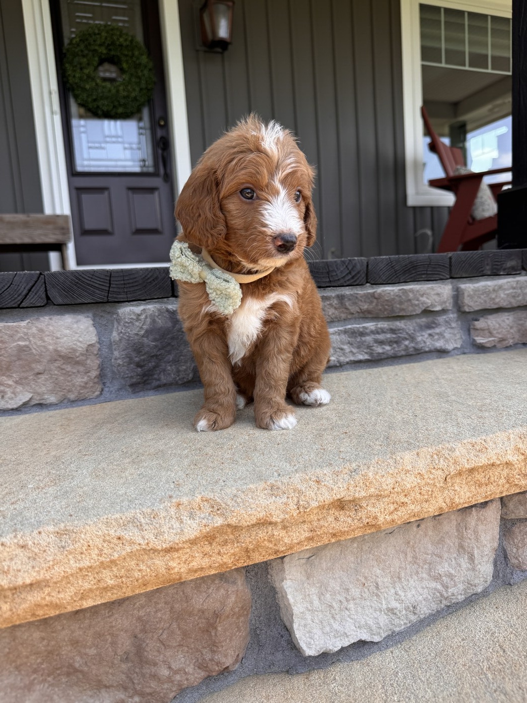 Serg - 6 weeks 