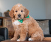 Bo  (chip: '18)