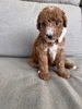 Jax 