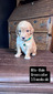 Mr Milo (Micro:  102)