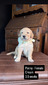 Miss Penny (Micro:  106)